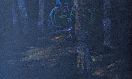 Bikes in forest