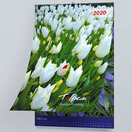 Calendar – Tulpen. Bunter Frühling