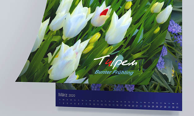 Calendar – Tulpen. Bunter Frühling